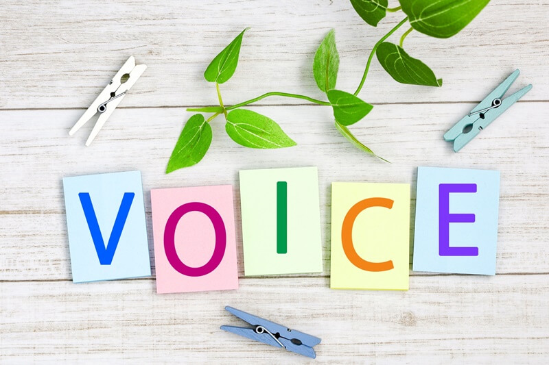 VOICE